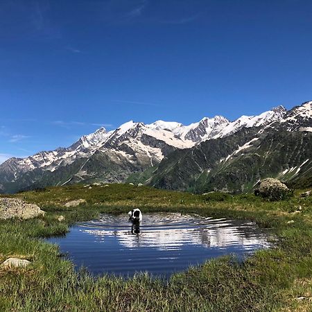 Chalet Riviere Du Bon Nant Location De 6 A 14 Personnes En Haute Savoie Saint-Gervais-les-Bains Eksteriør bilde