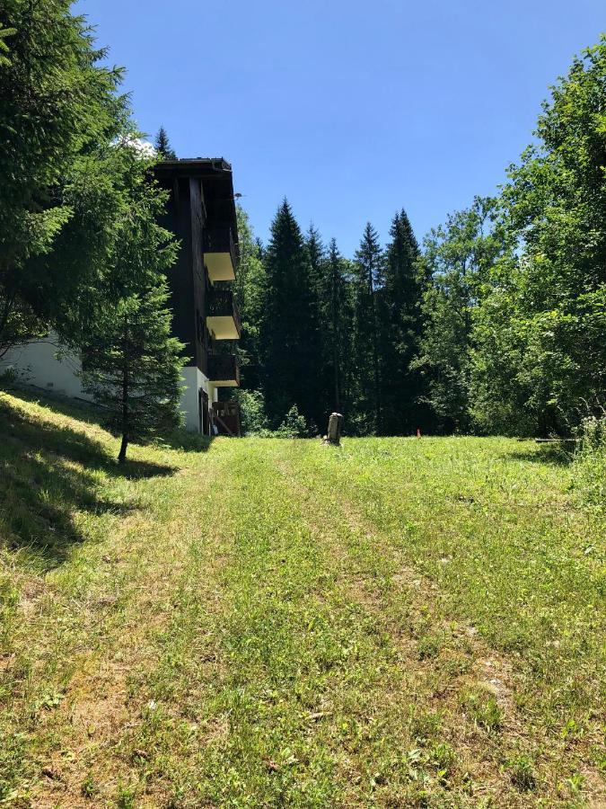 Chalet Riviere Du Bon Nant Location De 6 A 14 Personnes En Haute Savoie Saint-Gervais-les-Bains Eksteriør bilde