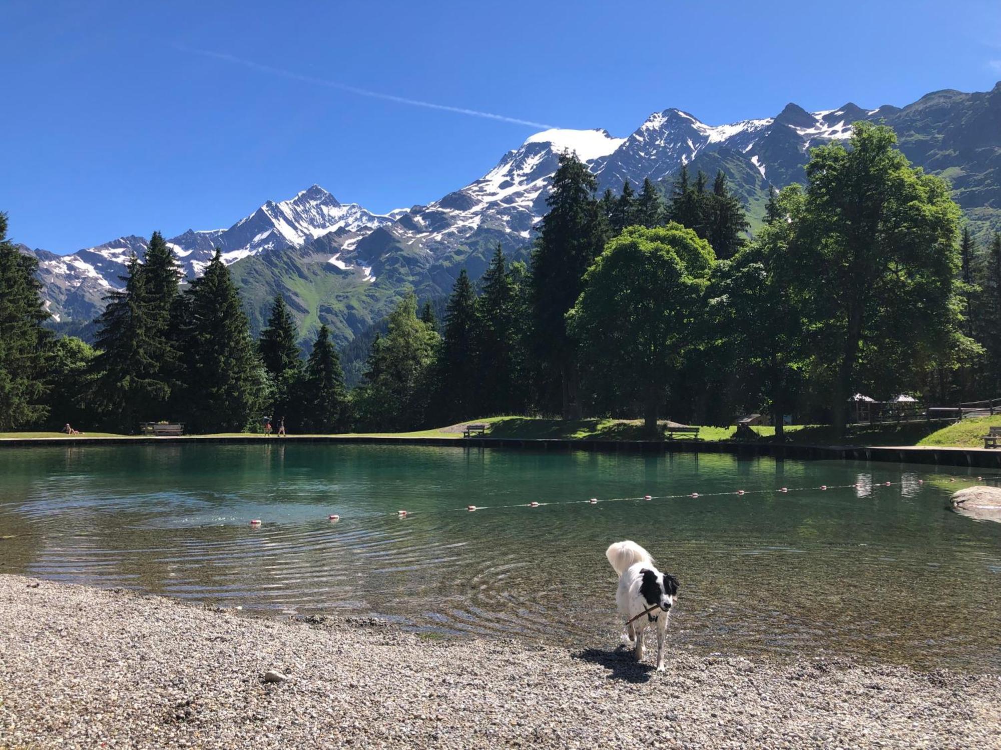 Chalet Riviere Du Bon Nant Location De 6 A 14 Personnes En Haute Savoie Saint-Gervais-les-Bains Eksteriør bilde
